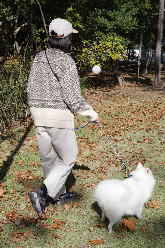 Wool Cashmere Jacquard Knit